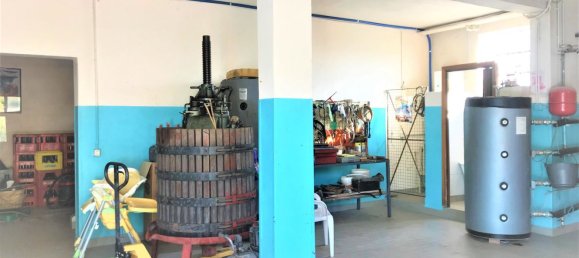 7-Zimmer Haus in Monteforte d'Alpone, Italy, Nr. 214120 31