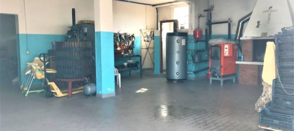 7-Zimmer Haus in Monteforte d'Alpone, Italy, Nr. 214120 32