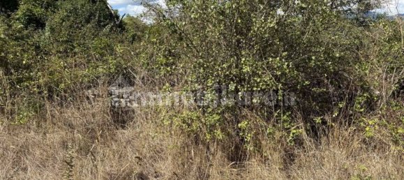 5 rooms Commercial property in Rieti, Italy No. 296342 32