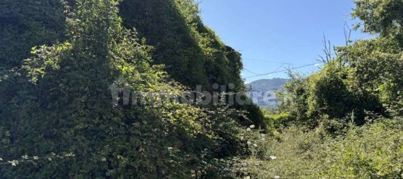 5 rooms Commercial property in Rieti, Italy No. 296342 31