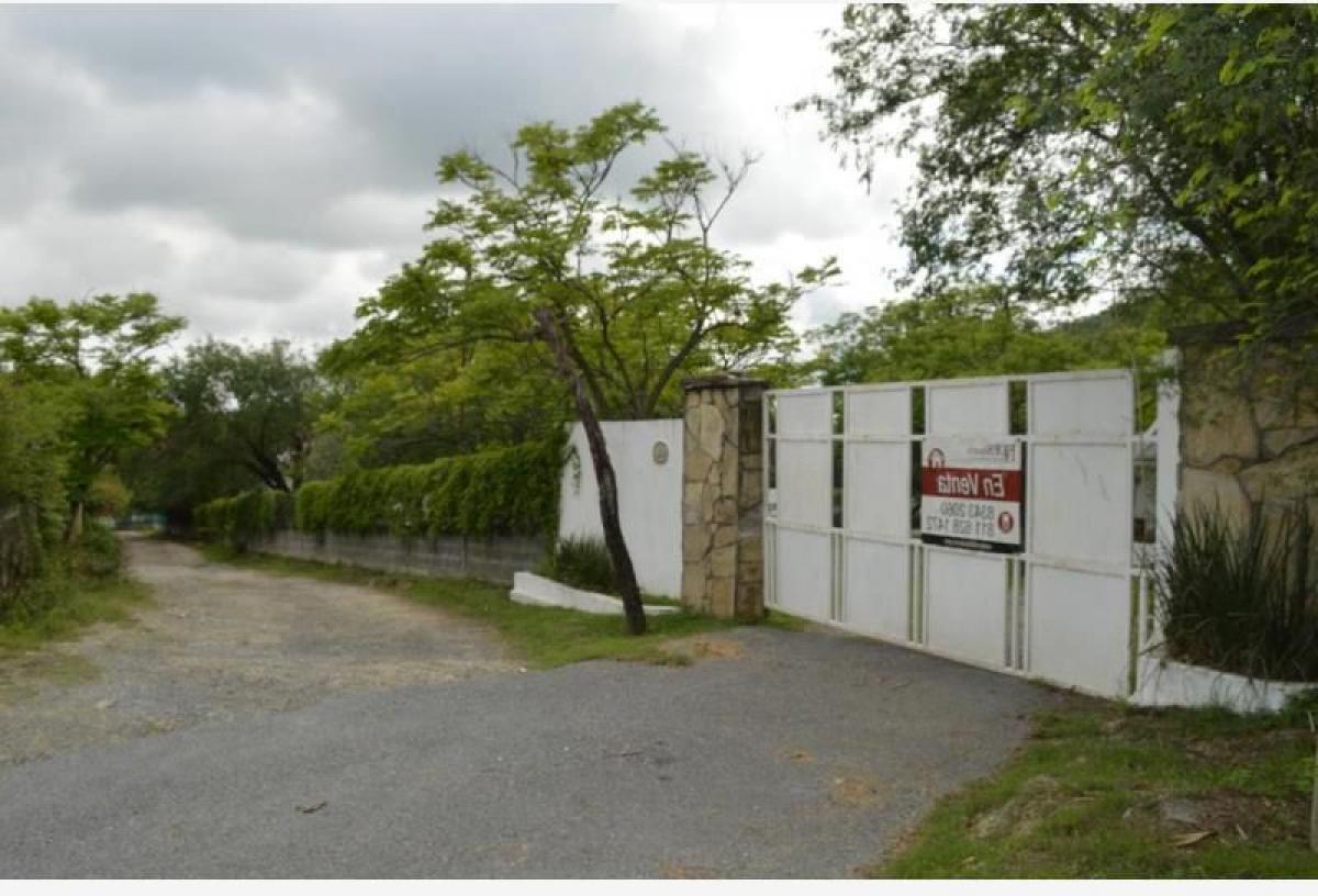 Studio in Allende, Mexico No. 228026