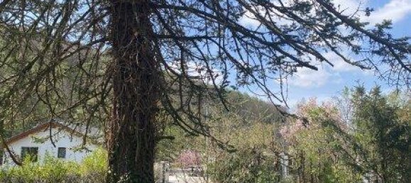 781m² Land in Klosterneuburg, Austria No. 166781 13