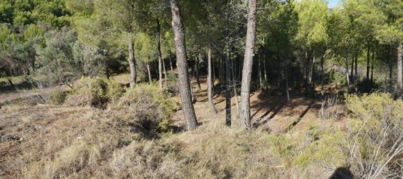  Land in Guadalest, Spain No. 108961 20