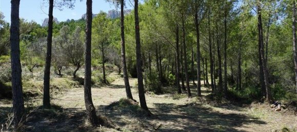  Land in Guadalest, Spain No. 108961 46