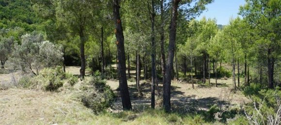  Land in Guadalest, Spain No. 108961 48