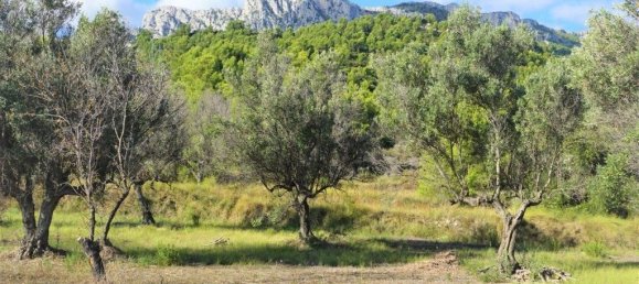  Land in Guadalest, Spain No. 108961 18