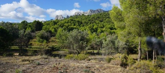  Land in Guadalest, Spain No. 108961 15