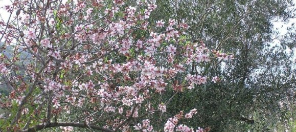  Land in Guadalest, Spain No. 108961 42