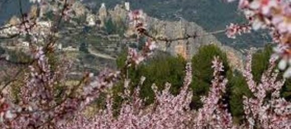  Land in Guadalest, Spain No. 108961 43