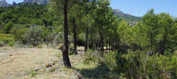  Land in Guadalest, Spain No. 108961 29