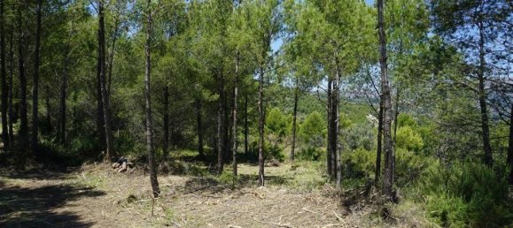  Land in Guadalest, Spain No. 108961 17