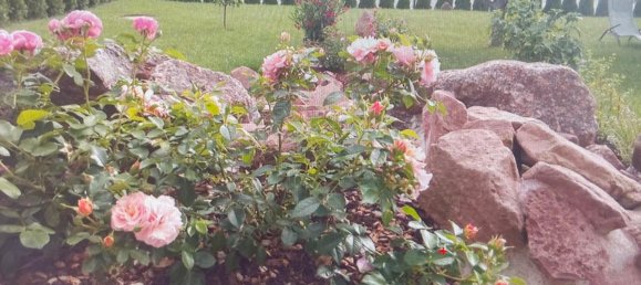 3 bedrooms Townhouse in Bergstrase, Germany No. 331409 15