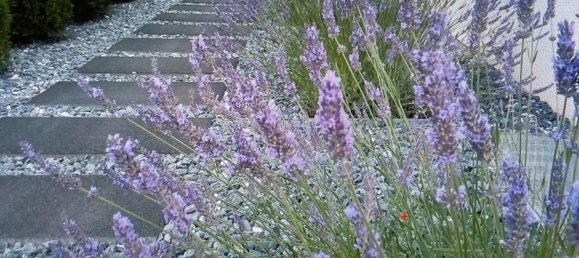 3 bedrooms Townhouse in Bergstrase, Germany No. 331409 13