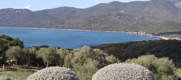 1 chambre Appartement à Serra-di-Ferro, France No. 63027 6