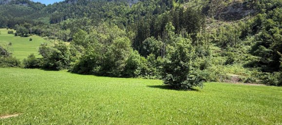 Terrain à Gotzis, Austria No. 146066 5