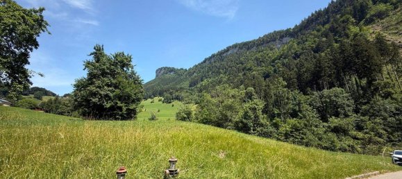 Terrain à Gotzis, Austria No. 146066 13