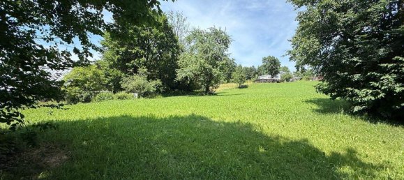 Terrain à Gotzis, Austria No. 146066 6