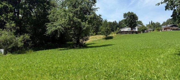 Terrain à Gotzis, Austria No. 146066 11