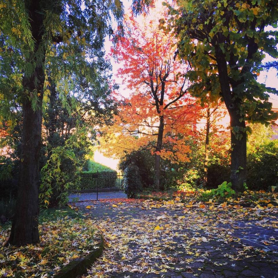 Квартира с 5 комнатами в Ривергаро, Италия № 23608