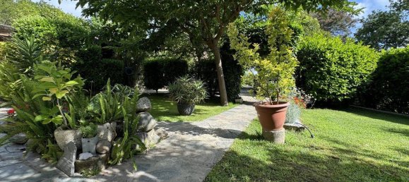 6 bedrooms House in Santa-Lucia-di-Moriani, France No. 273922 16