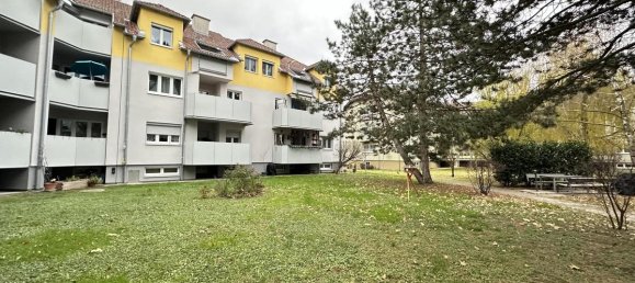 Apartamento de 3 habitaciónes en Zeiselmauer-Wolfpassing, Austria No. 215523 4