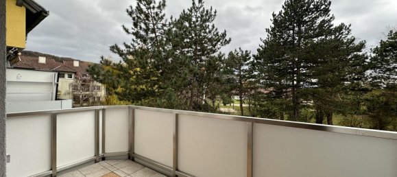 Apartamento de 3 habitaciónes en Zeiselmauer-Wolfpassing, Austria No. 215523 3