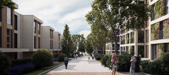  Land in Steinfurt, Germany No. 163219 8