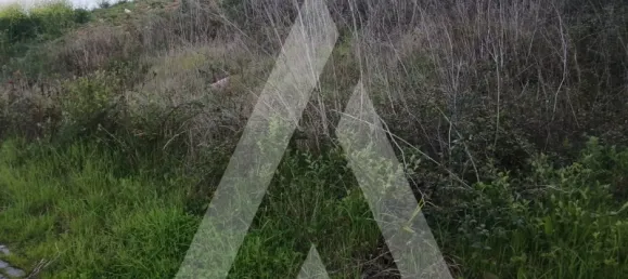 283m² Land in Leiria, Portugal No. 87931 3