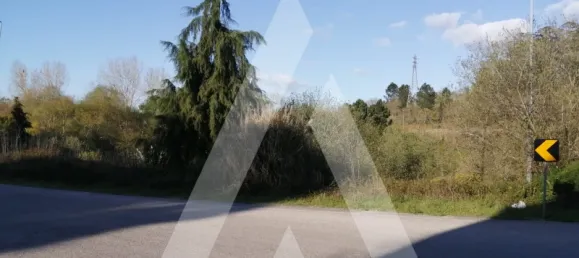 283m² Land in Leiria, Portugal No. 87931 9