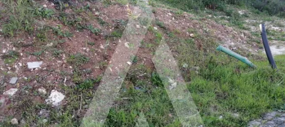 283m² Land in Leiria, Portugal No. 87931 5