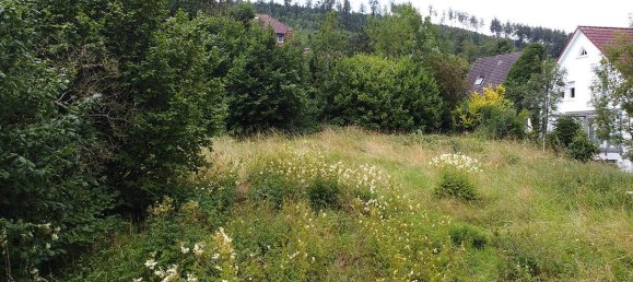 Terreno en Lippe, Germany No. 270567 2