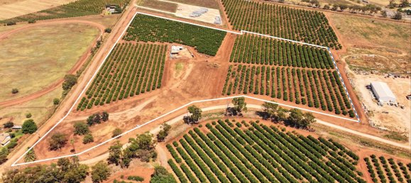 Дом в Yoogali, Австралия № 1168 2