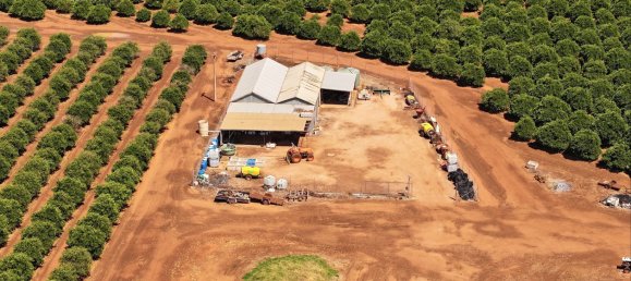 Дом в Yoogali, Австралия № 1168 4