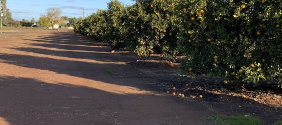 Дом в Yoogali, Австралия № 1168 10