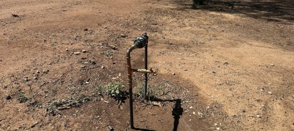 Дом в Yoogali, Австралия № 1168 12