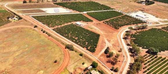 Дом в Yoogali, Австралия № 1168 3