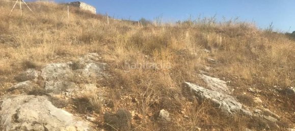 Terreno en El Molar, Spain 11237 m² No. 80200 2