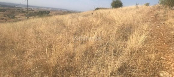 Terreno en El Molar, Spain 11237 m² No. 80200 5