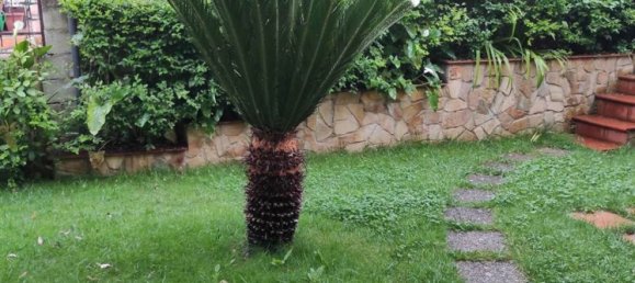 6 rooms Villa in Mendicino, Italy No. 105195 5