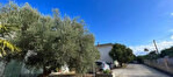 1 bedroom Apartment in Lucciana, France No. 94412 4