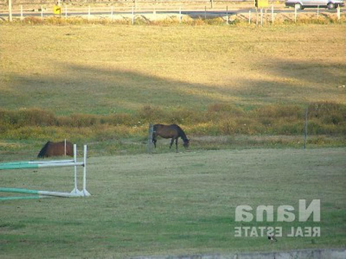 3 bedrooms House in Maldonado, Uruguay No. 9321