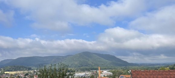 4 chambres Maison à Saint-Dié-des-Vosges, France No. 232773 4