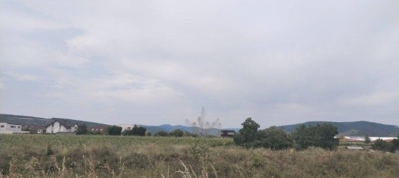 7 rooms Bungalow in Furth bei Gottweig, Austria No. 136002 7