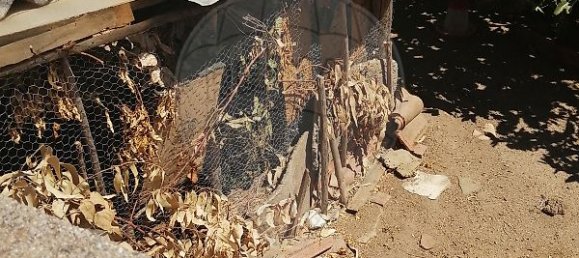 4 bedrooms House in Alter do Chao, Portugal No. 17637 47