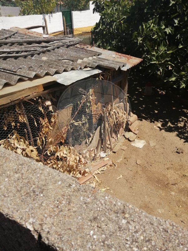 4 bedrooms House in Alter do Chao, Portugal No. 17637