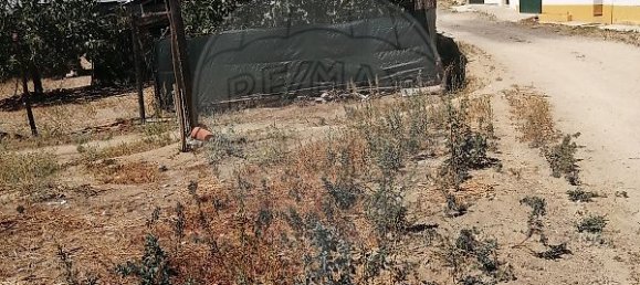 4 bedrooms House in Alter do Chao, Portugal No. 17637 44