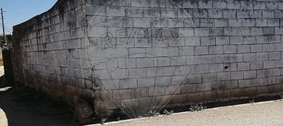 4 bedrooms House in Alter do Chao, Portugal No. 17637 42