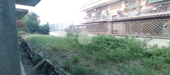 5 rooms Villa in Rome, Italy No. 116855 11