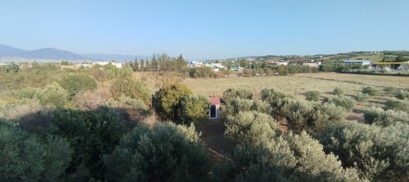 9 dormitorios propiedad comercial en venta en Thermaic Gulf, Thermaikos, Thessaloniki, Central Macedonia, Macedonia and Thrace, Greece № 2855 28