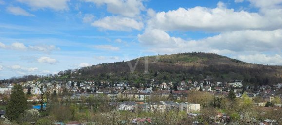 3 غرف نوم بانتهاوس في Baden-Baden, Germany رقم 13014 23